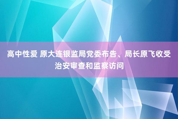 高中性爱 原大连银监局党委布告、局长原飞收受治安审查和监察访问