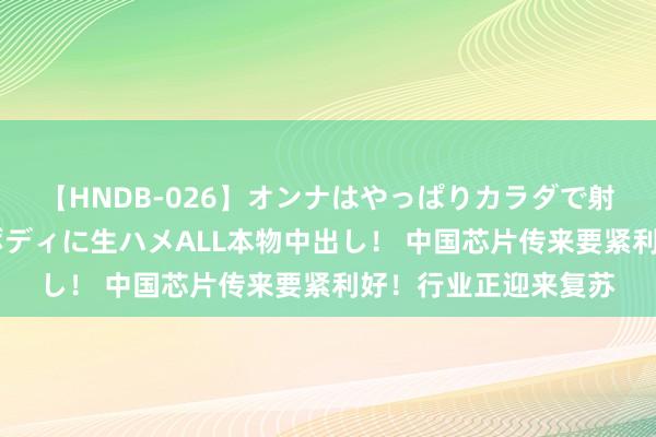 【HNDB-026】オンナはやっぱりカラダで射精する 厳選美巨乳ボディに生ハメALL本物中出し！ 中国芯片传来要紧利好！行业正迎来复苏