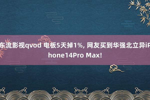 东流影视qvod 电板5天掉1%, 网友买到华强北立异iPhone14Pro Max!