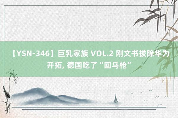 【YSN-346】巨乳家族 VOL.2 刚文书拔除华为开拓, 德国吃了“回马枪”