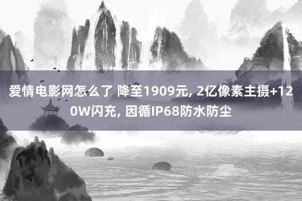 爱情电影网怎么了 降至1909元, 2亿像素主摄+120W闪充, 因循IP68防水防尘