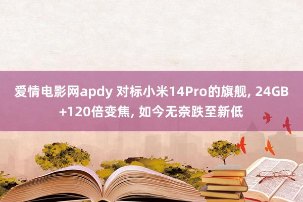 爱情电影网apdy 对标小米14Pro的旗舰, 24GB+120倍变焦, 如今无奈跌至新低