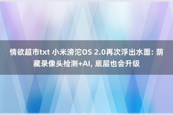 情欲超市txt 小米滂沱OS 2.0再次浮出水面: 荫藏录像头检测+AI, 底层也会升级