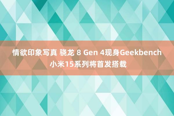 情欲印象写真 骁龙 8 Gen 4现身Geekbench 小米15系列将首发搭载