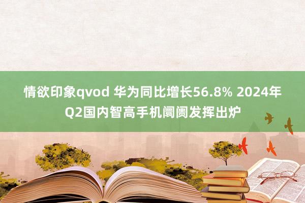 情欲印象qvod 华为同比增长56.8% 2024年Q2国内智高手机阛阓发挥出炉