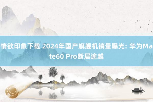 情欲印象下载 2024年国产旗舰机销量曝光: 华为Mate60 Pro断层逾越