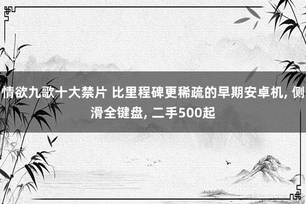 情欲九歌十大禁片 比里程碑更稀疏的早期安卓机, 侧滑全键盘, 二手500起