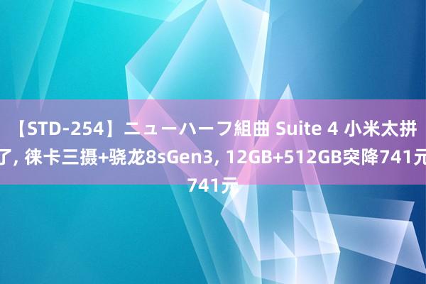 【STD-254】ニューハーフ組曲 Suite 4 小米太拼了, 徕卡三摄+骁龙8sGen3, 12GB+512GB突降741元