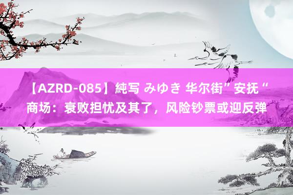 【AZRD-085】純写 みゆき 华尔街”安抚“商场：衰败担忧及其了，风险钞票或迎反弹