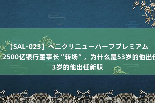 【SAL-023】ペニクリニューハーフプレミアム4時間 2500亿银行董事长“转场”，为什么是53岁的他出任新职