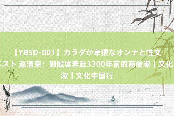 【YBSD-001】カラダが卑猥なオンナと性交 ザ★ベスト 赵清荣：到殷墟奔赴3300年前的商端淑｜文化中国行