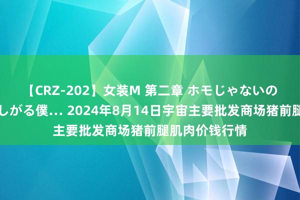 【CRZ-202】女装M 第二章 ホモじゃないのにチ○ポを欲しがる僕… 2024年8月14日宇宙主要批发商场猪前腿肌肉价钱行情