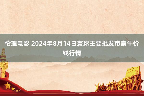 伦理电影 2024年8月14日寰球主要批发市集牛价钱行情