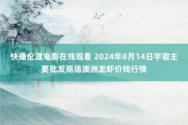 快播伦理电影在线观看 2024年8月14日宇宙主要批发商场澳洲龙虾价钱行情