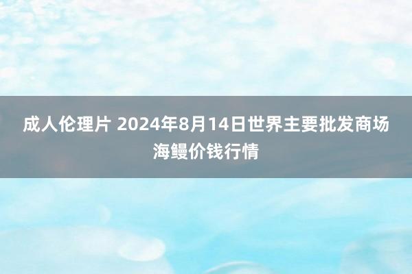 成人伦理片 2024年8月14日世界主要批发商场海鳗价钱行情