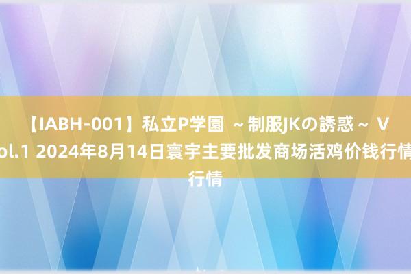 【IABH-001】私立P学園 ～制服JKの誘惑～ Vol.1 2024年8月14日寰宇主要批发商场活鸡价钱行情