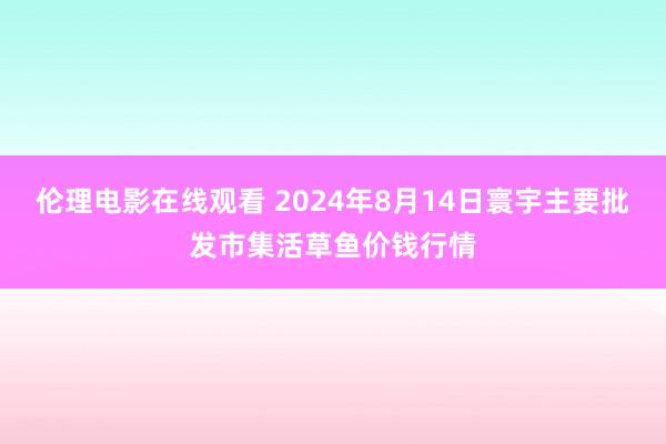 伦理电影在线观看 2024年8月14日寰宇主要批发市集活草鱼价钱行情