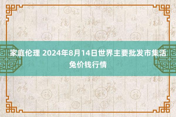 家庭伦理 2024年8月14日世界主要批发市集活兔价钱行情