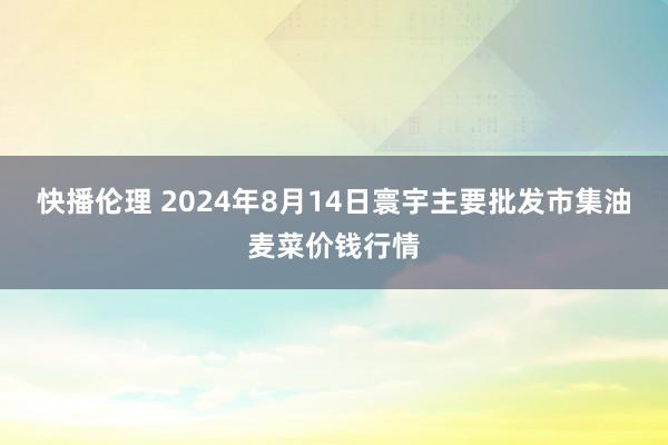 快播伦理 2024年8月14日寰宇主要批发市集油麦菜价钱行情