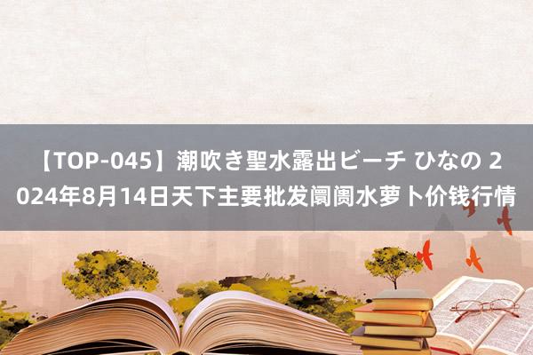 【TOP-045】潮吹き聖水露出ビーチ ひなの 2024年8月14日天下主要批发阛阓水萝卜价钱行情