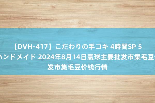 【DVH-417】こだわりの手コキ 4時間SP 5 30人のハンドメイド 2024年8月14日寰球主要批发市集毛豆价钱行情