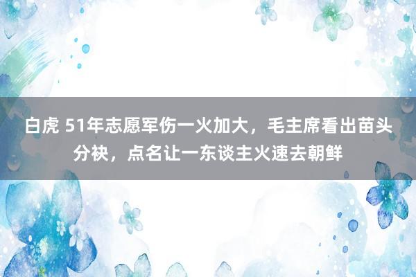 白虎 51年志愿军伤一火加大，毛主席看出苗头分袂，点名让一东谈主火速去朝鲜