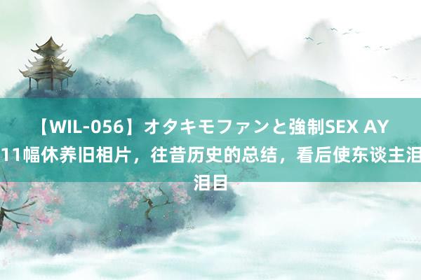 【WIL-056】オタキモファンと強制SEX AYA 11幅休养旧相片，往昔历史的总结，看后使东谈主泪目