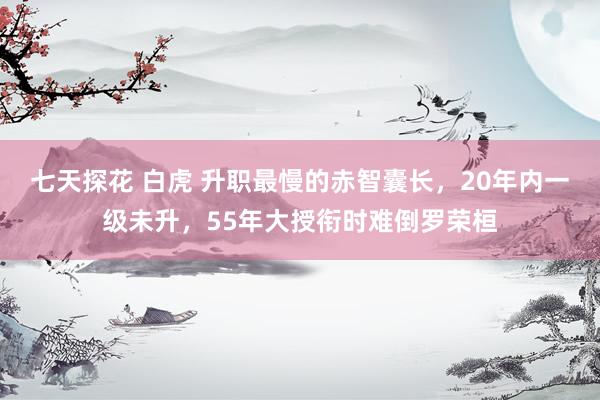 七天探花 白虎 升职最慢的赤智囊长，20年内一级未升，55年大授衔时难倒罗荣桓