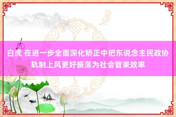 白虎 在进一步全面深化矫正中把东说念主民政协轨制上风更好振荡为社会管束效率