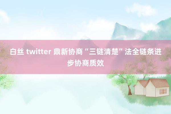 白丝 twitter 鼎新协商“三链清楚”法全链条进步协商质效