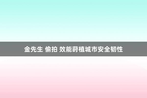 金先生 偷拍 效能莳植城市安全韧性