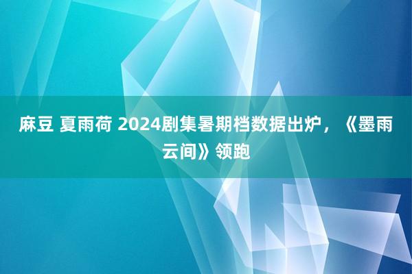 麻豆 夏雨荷 2024剧集暑期档数据出炉，《墨雨云间》领跑