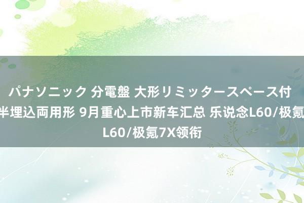 パナソニック 分電盤 大形リミッタースペース付 露出・半埋込両用形 9月重心上市新车汇总 乐说念L60/极氪7X领衔