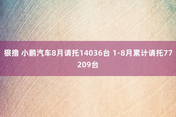 狠撸 小鹏汽车8月请托14036台 1-8月累计请托77209台