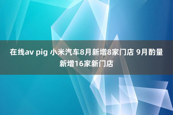 在线av pig 小米汽车8月新增8家门店 9月酌量新增16家新门店