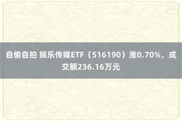 自偷自拍 娱乐传媒ETF（516190）涨0.70%，成交额236.16万元