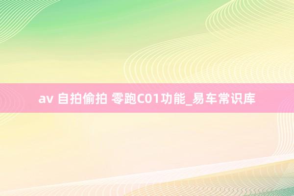 av 自拍偷拍 零跑C01功能_易车常识库