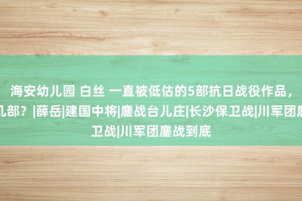 海安幼儿园 白丝 一直被低估的5部抗日战役作品，你错过几部？|薛岳|建国中将|鏖战台儿庄|长沙保卫战|川军团鏖战到底