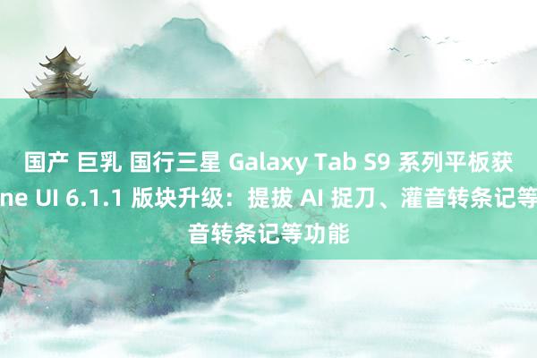 国产 巨乳 国行三星 Galaxy Tab S9 系列平板获推 One UI 6.1.1 版块升级：提拔 AI 捉刀、灌音转条记等功能