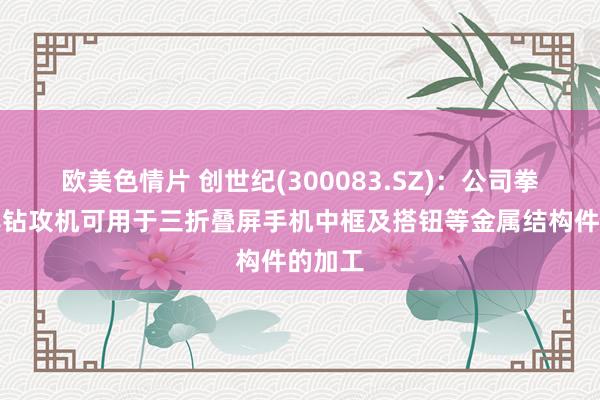 欧美色情片 创世纪(300083.SZ)：公司拳头家具钻攻机可用于三折叠屏手机中框及搭钮等金属结构件的加工